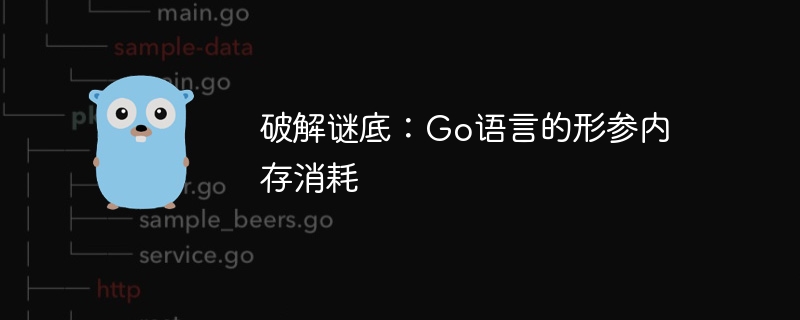 破解谜底:Go语言的形参内存消耗