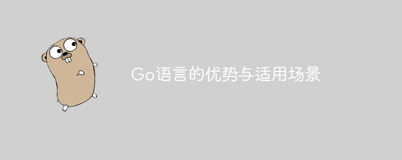Go语言的优势与适用场景