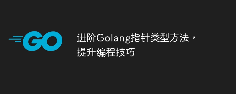进阶Golang指针类型方法,提升编程技巧