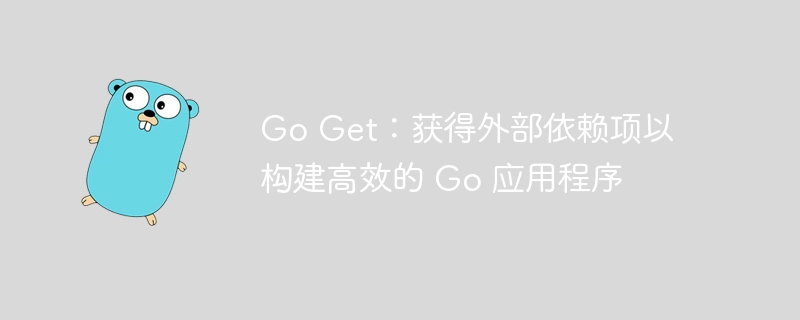 Go Get:获得外部依赖项以构建高效的 Go 应用程序