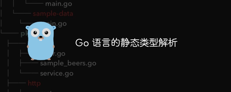 Go 语言的静态类型解析
