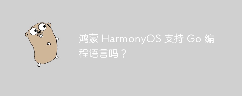 鸿蒙 HarmonyOS 支持 Go 编程语言吗?
