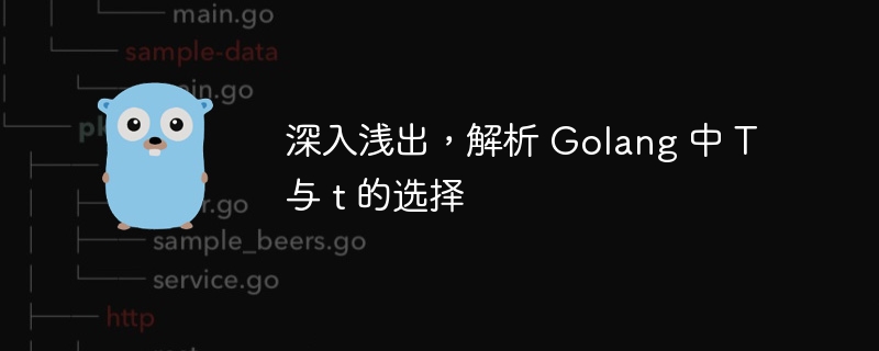 深入浅出,解析 Golang 中 T 与 t 的选择