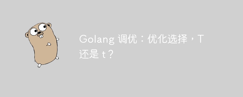 Golang 调优:优化选择,T 还是 t?