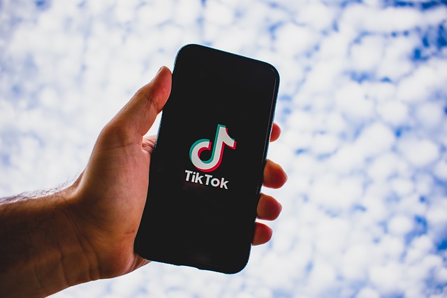 TikTok 启动全球青少年委员会:由 15 名各国青少年组成,确保维护安全 / 福祉