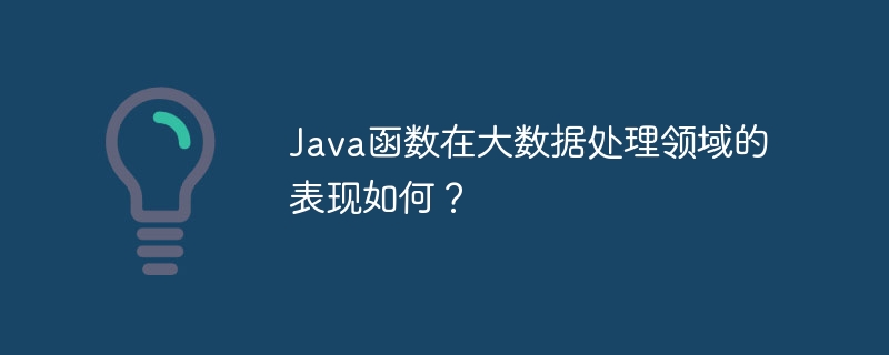 Java函数在大数据处理领域的表现如何?