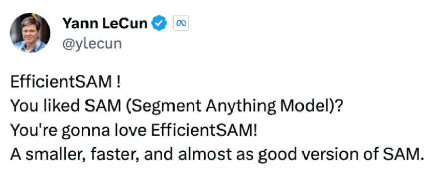 VPR 2024 满分论文！Meta提出EfficientSAM：快速分割一切！
