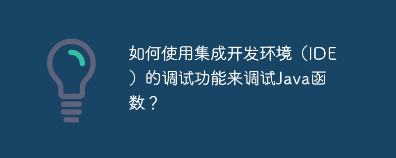 如何使用集成开发环境(IDE)的调试功能来调试Java函数?