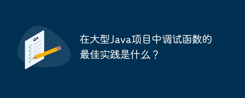 在大型Java项目中调试函数的最佳实践是什么?