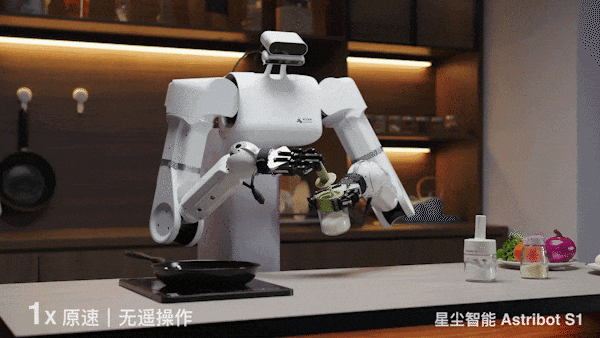 会颠勺的国产机器人来了：大模型加持，家务能力满分