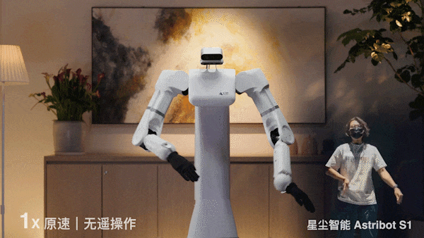 会颠勺的国产机器人来了：大模型加持，家务能力满分