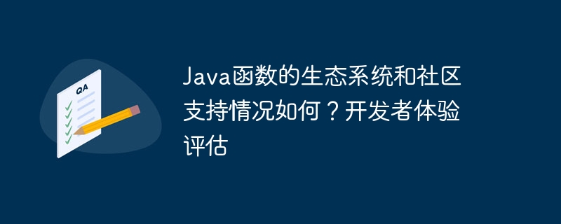 Java函数的生态系统和社区支持情况如何?开发者体验评估