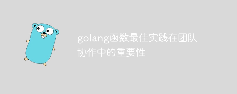 golang函数最佳实践在团队协作中的重要性