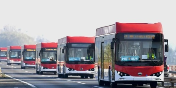 韩国电动公交车注册量激增 中国制造占据半壁江山