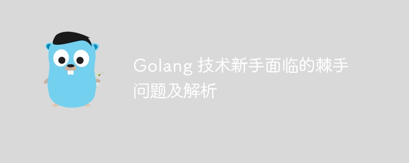 Golang 技术新手面临的棘手问题及解析