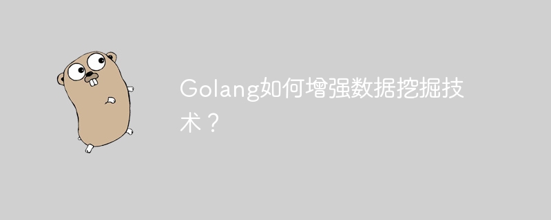 Golang如何增强数据挖掘技术?