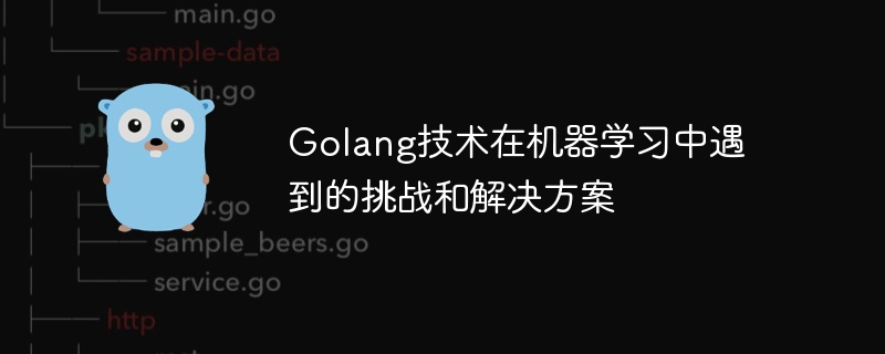 Golang技术在机器学习中遇到的挑战和解决方案