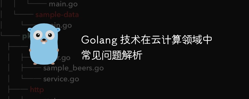 Golang 技术在云计算领域中常见问题解析