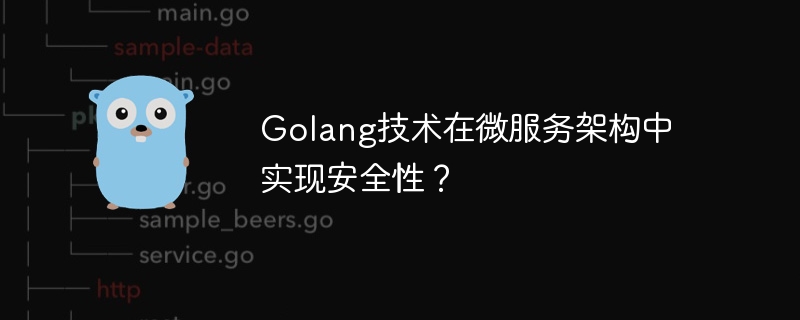 Golang技术在微服务架构中实现安全性?