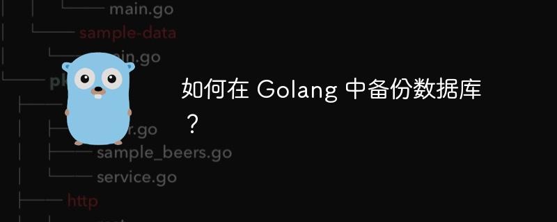 如何在 Golang 中备份数据库?