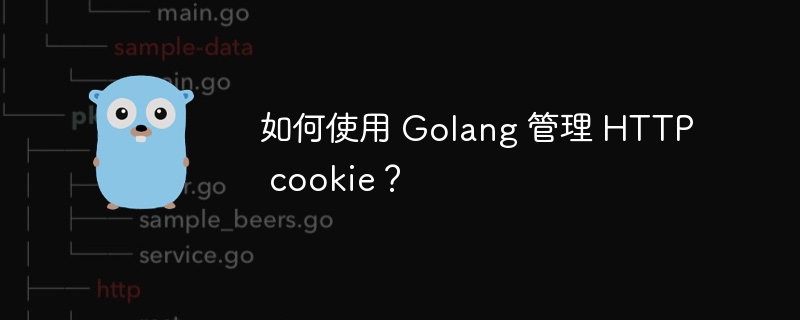 如何使用 Golang 管理 HTTP cookie?