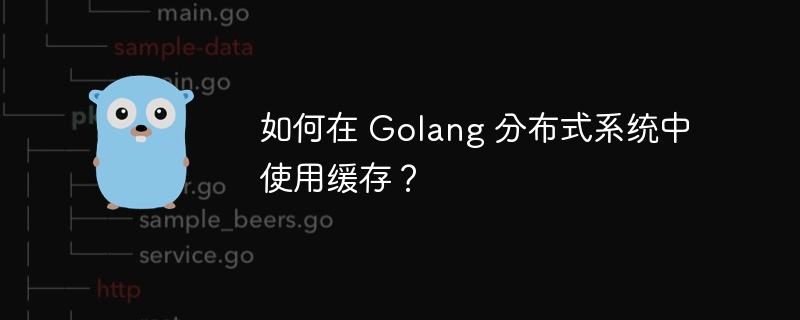 如何在 Golang 分布式系统中使用缓存?