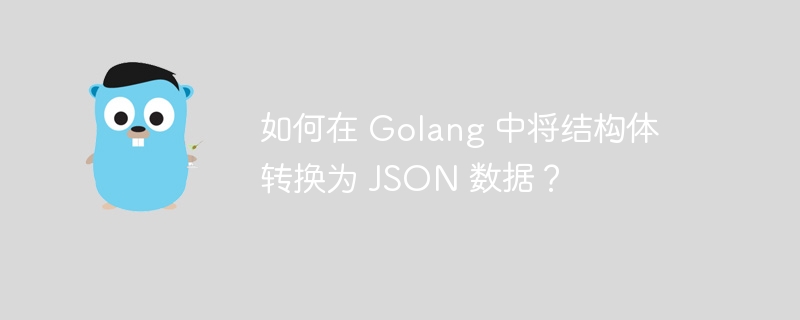 如何在 Golang 中将结构体转换为 JSON 数据？