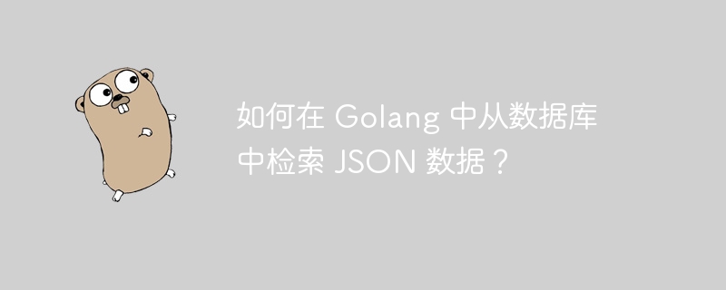 如何在 Golang 中从数据库中检索 JSON 数据？