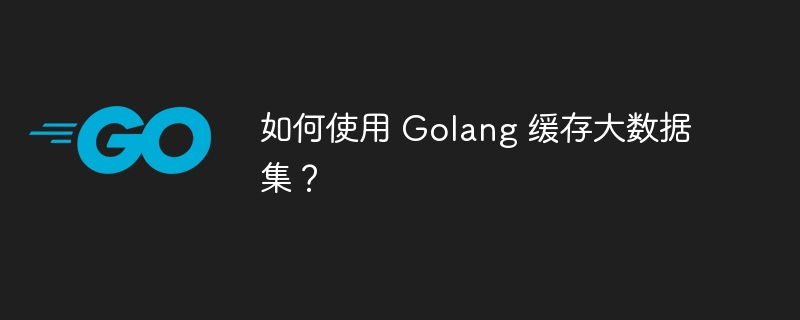 如何使用 Golang 缓存大数据集?
