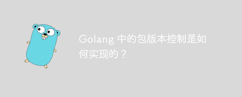 Golang 中的包版本控制是如何实现的？