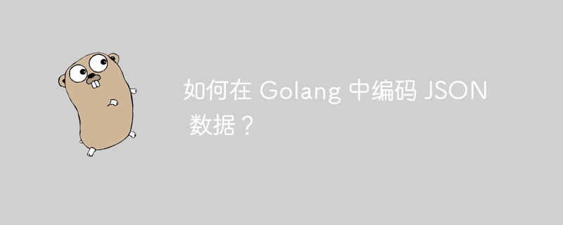 如何在 Golang 中编码 JSON 数据？