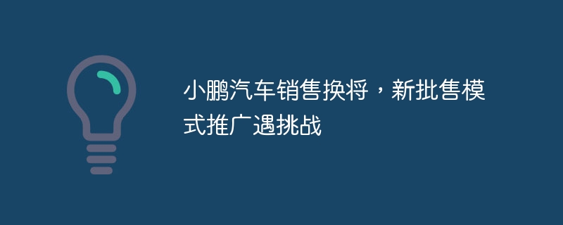 小鹏汽车销售换将,新批售模式推广遇挑战
