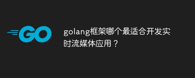 golang框架哪个最适合开发实时流媒体应用?