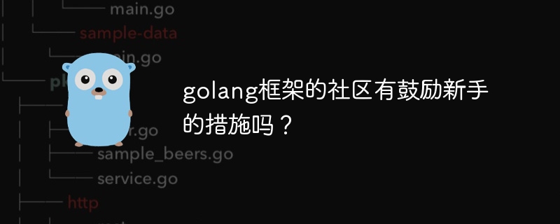 golang框架的社区有鼓励新手的措施吗?