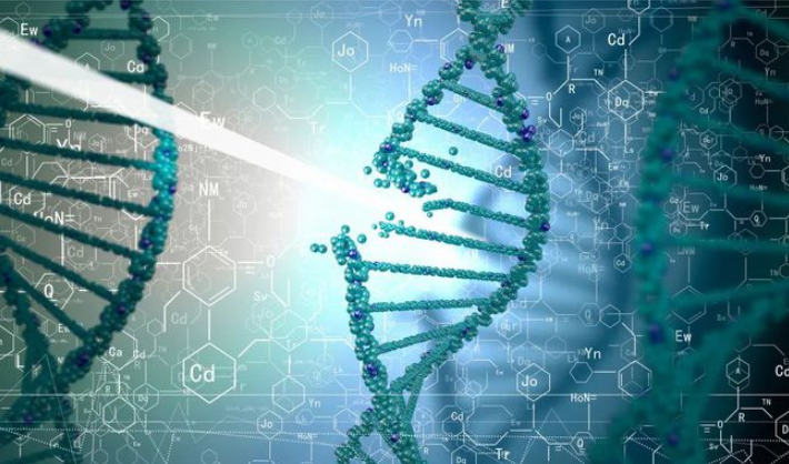 整合多组学数据,华大基因团队图神经网络模型SpatialGlue登Nature子刊