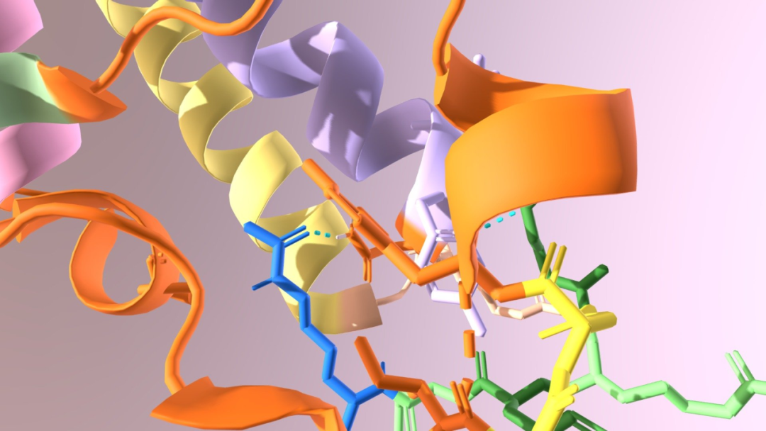 仅几秒,准确推断蛋白动力学信息,山大、北理工等AI模型RMSF-net登Nature子刊