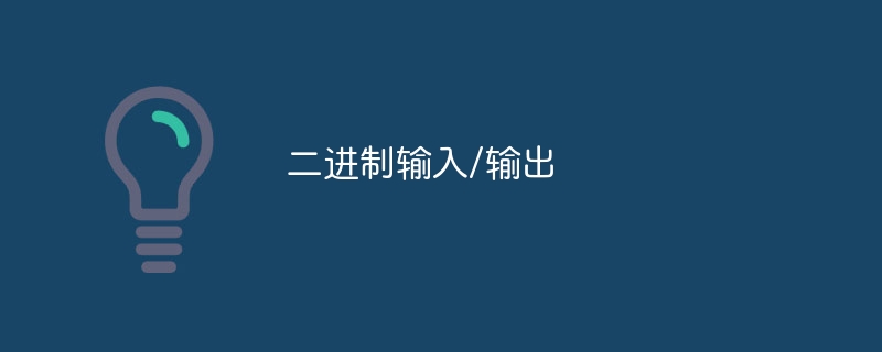 二进制输入/输出