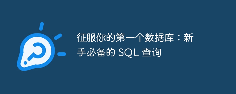 征服你的第一个数据库:新手必备的 SQL 查询