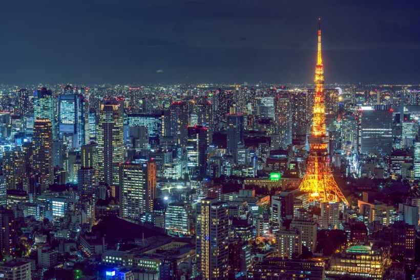 担心威胁野生动物,日本东京 200 余名居民试图阻止建设大型数据中心