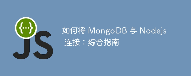 如何将 MongoDB 与 Nodejs 连接:综合指南