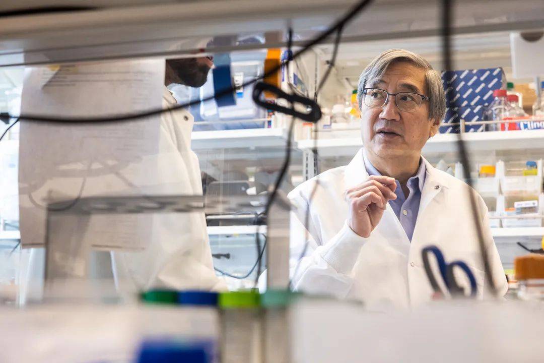 登Science,药物亲和力增加37倍,AI对蛋白、抗体复合物进行无监督优化