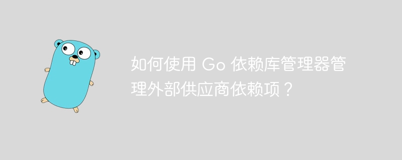 如何使用 Go 依赖库管理器管理外部供应商依赖项?