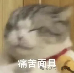 第 65 届 IMO 奥数中国憾失第一,五连冠统治被美国队终结