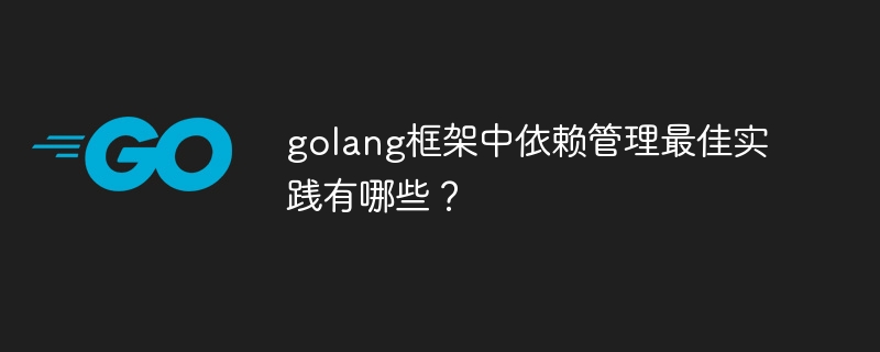 golang框架中依赖管理最佳实践有哪些?