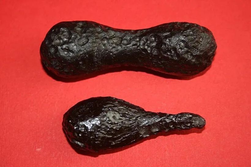 我们首次在月壤中发现了水,大家准备种点什么菜?