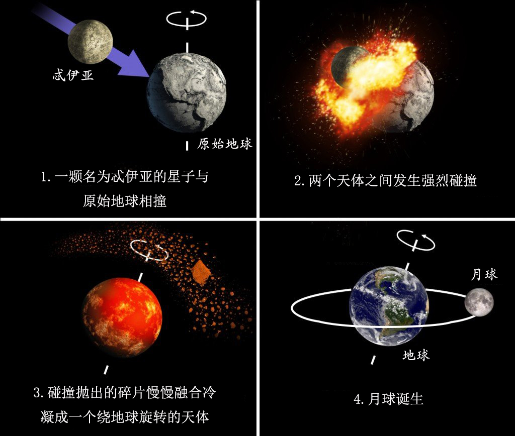 我们首次在月壤中发现了水,大家准备种点什么菜?