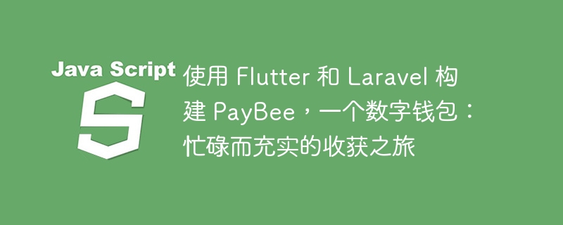 使用 Flutter 和 Laravel 构建 PayBee,一个数字钱包:忙碌而充实的收获之旅