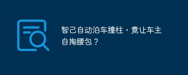 智己自动泊车撞柱,竟让车主自掏腰包?
