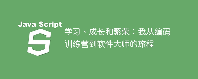 学习、成长和繁荣:我从编码训练营到软件大师的旅程