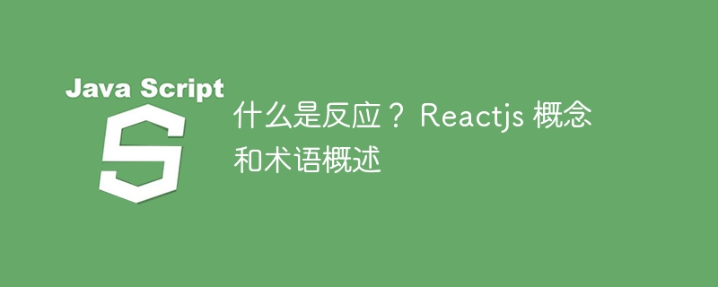 什么是反应? Reactjs 概念和术语概述